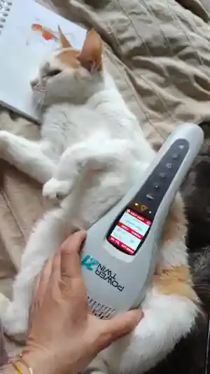 Wellness-Massage