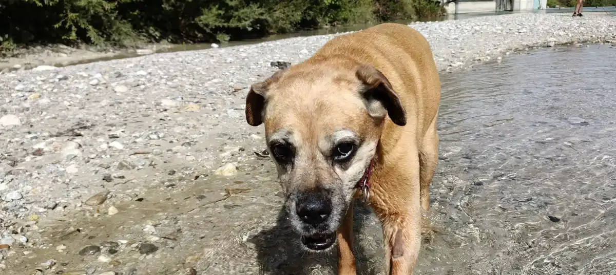 Doga Entspannung